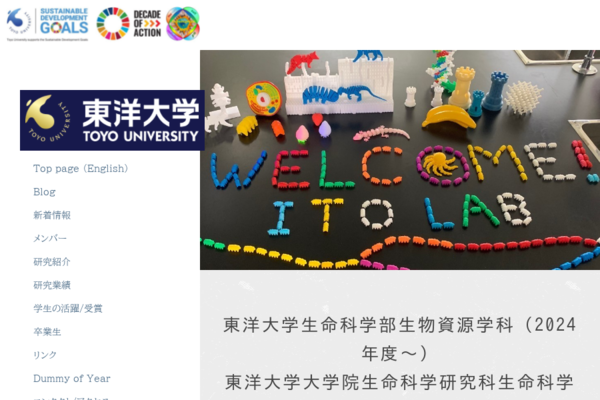 文ページ 国内学会発表 of 東洋大学 伊藤政博